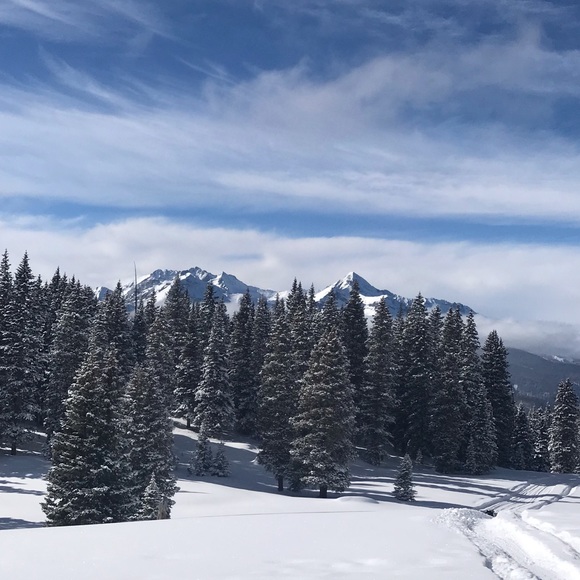 Meet your Posher, Louise - Picture 1 of 1